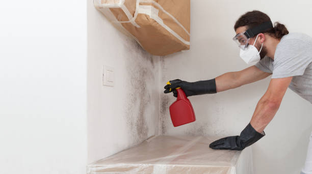 Professional Mold Removal technician working in Lowell, OR