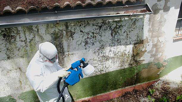 Trusted Mold Testing service in Lowell, OR - Cheap Mold Removal